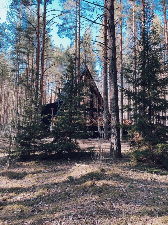 The Lagom, Losevo · Photo: official website